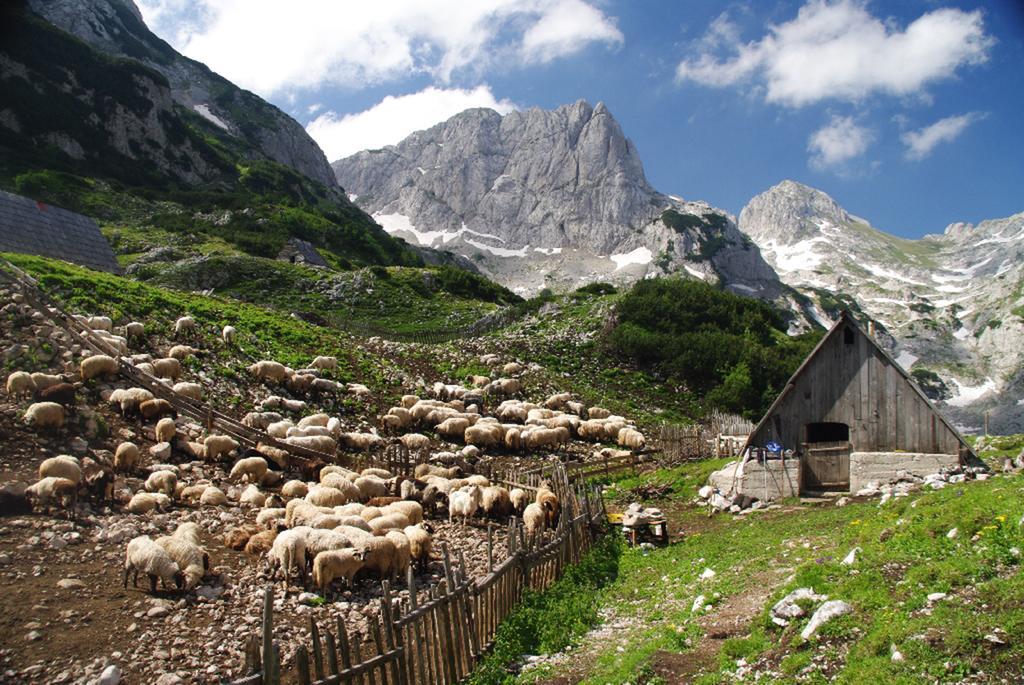 Guesthouse Planinarski Dom Neviden'O Zabljak  Exterior photo